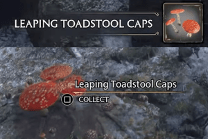Leaping Toadstool Caps