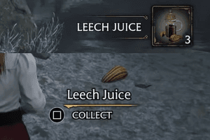 Leech Juice